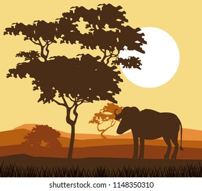 African animals silhouettes