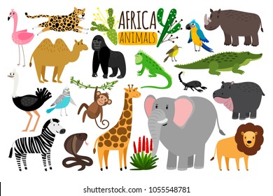 African animals. Various wildlife animals of Africa, vector monkey or marmoset and leopard, parrot and rhinoceros, cobra and ostrich characters isolated on white