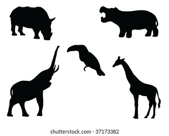 African animals vector black silhouette