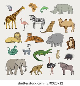 african animals vector illustrartions set