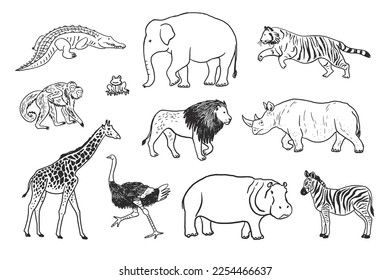 African animals vector line illustrations set.