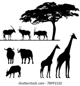 African animals, vector silhouettes