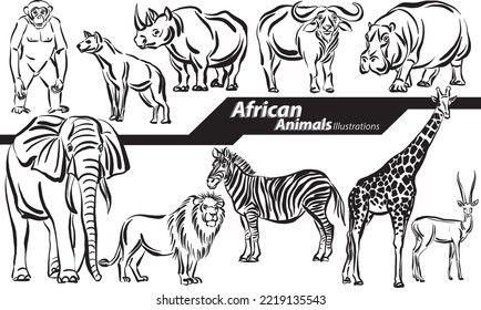 african animals wildlife design freehand doodle set collection vector illustration