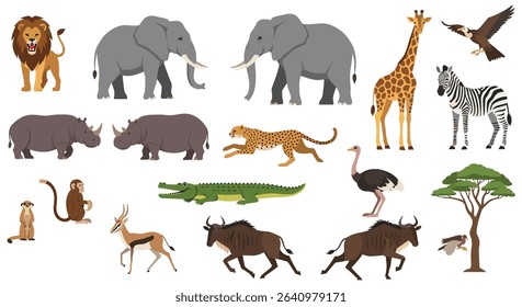African Animals and Wildlife Ecosystem The Importance of Conservation and Sustainability