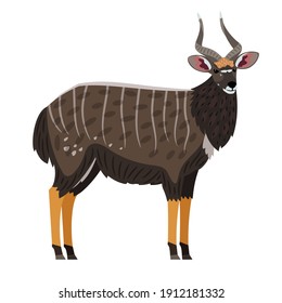 African Antelope. Cartoon gazelle with horns on head, exotic character of zoo, symbol of hunting trophy, vector illustration of hoofed beast of wildlife isolated on white background