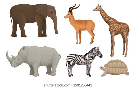 African Area Habitants Drawn In Realistic Manner Vector Illustrations