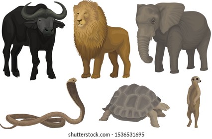 African Area Habitants Drawn In Realistic Manner Vector Illustrations