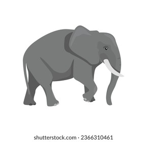 African or Asian large elephant isolated on white background. Biggest earth mammal animal. Cartoon mammal elefant. Sticker for children vector