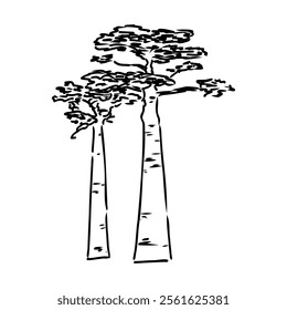African baobab, hand drawn doodle, sketch in pop art style, vector outline illustration