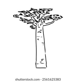 African baobab, hand drawn doodle, sketch in pop art style, vector outline illustration
