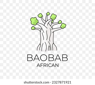African baobab, national park and savannah, nature, tree and plant, colored graphic design. Forest, savanna, flora, landscape and environment, vector design and illustration