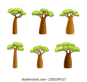 African Baobab Tree with Broad Trunk and Green Crown as Large Deciduous Plant Native to Madagascar Vector Set