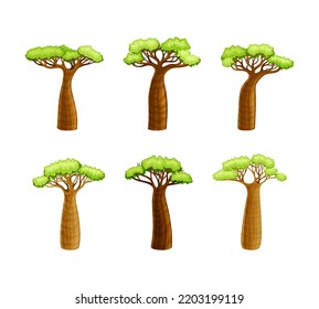 African Baobab Tree with Broad Trunk and Green Crown as Large Deciduous Plant Native to Madagascar Vector Set