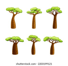 African Baobab Tree with Broad Trunk and Green Crown as Large Deciduous Plant Native to Madagascar Vector Set