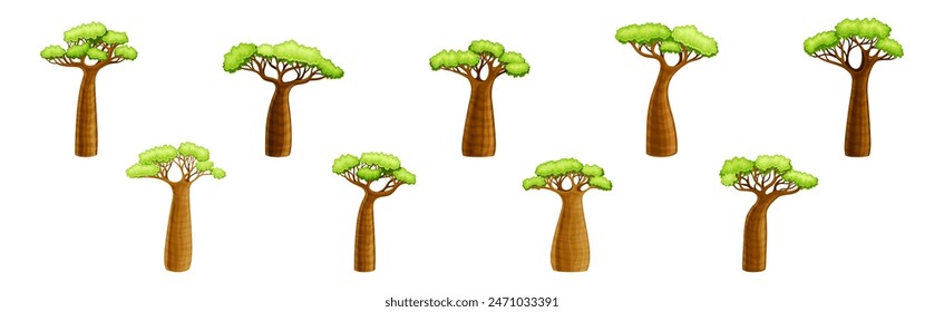 Árbol de baobab africano con corona y tronco marrón conjunto de Vector