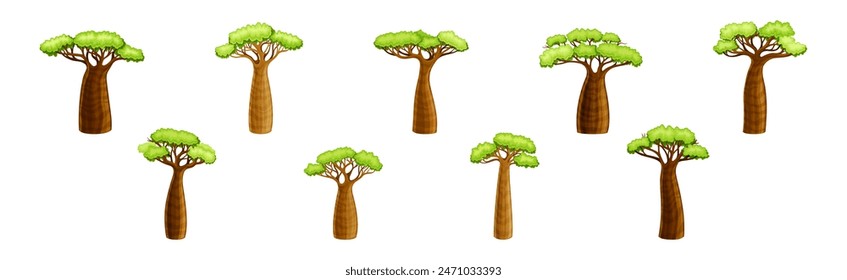 African Baobab Tree with Crown and Brown Trunk Vector Set