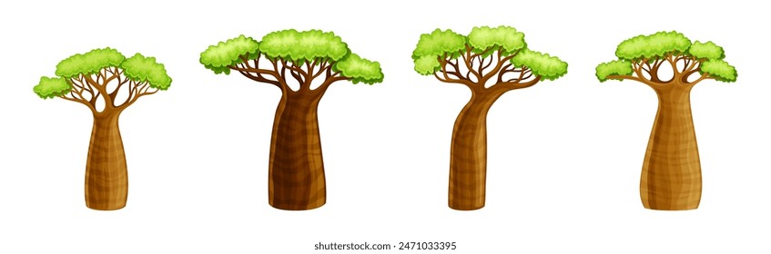 African Baobab Tree with Crown and Brown Trunk Vector Set