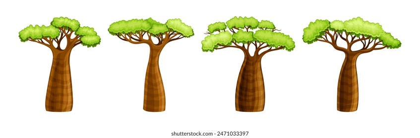 Árbol de baobab africano con corona y tronco marrón conjunto de Vector