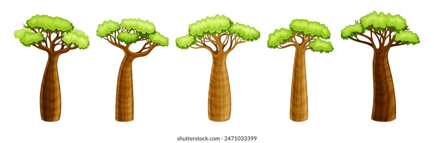 Árbol de baobab africano con corona y tronco marrón conjunto de Vector