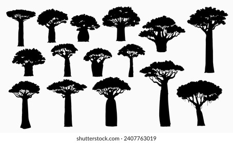African baobab tree silhouettes. African continent and Madagascar island nature symbol, savannah flora. Tall and high Baobab trees with thick and thin trunks, covered lianas isolated vector silhouette svg