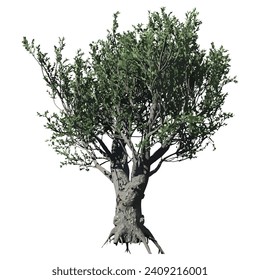 african baobab tree vector illustration design svg