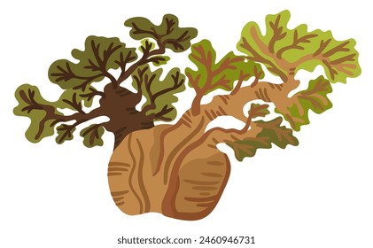 African baobab tree. Vector isolated illustration.