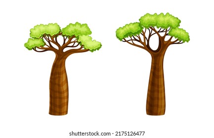 African baobab trees. Powerful tree with green leaves cartoon vector illustration