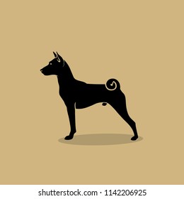 African Basenji dog - isolated vector illustration