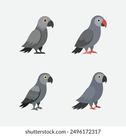  African beautiful grey Parrot vector artwork