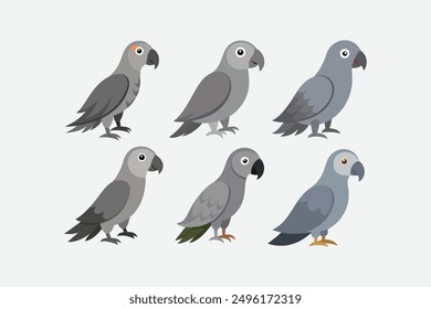  African beautiful grey Parrot vector artwork
