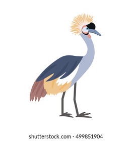 African bird. Crowned crane. Isolated on white background. Vector illustration.