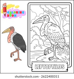 African bird marabou, coloring page