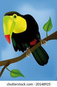 african bird on a branch