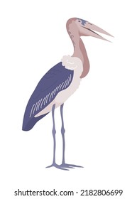 African bird stork marabou. It stands on its feet. Big beak. Savannah wildlife animal. Fauna and zoology. Flat vector illustration isolated on white background