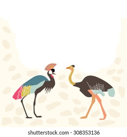 African Birds