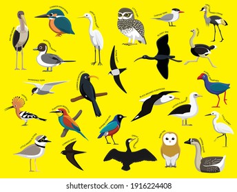 African Birds with Name Cartoon Character Set 1