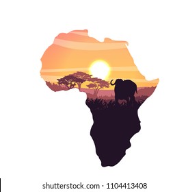 African black buffalo in the savannah. Grass and acacia trees. Realistic vector landscape landscapes in the form of a map of the continent of Africa. The nature of Africa. Silhouette