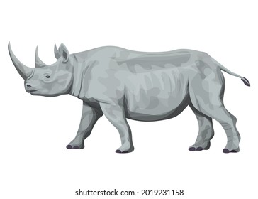 African Black Rhino walking and intrigued as seen from the side