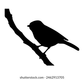 African Blue Tit. Vector image. White background.