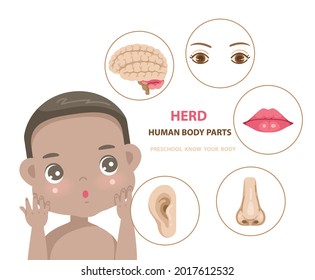 african boy face. head human body parts of preschool boy body anatomy illustration for kid.