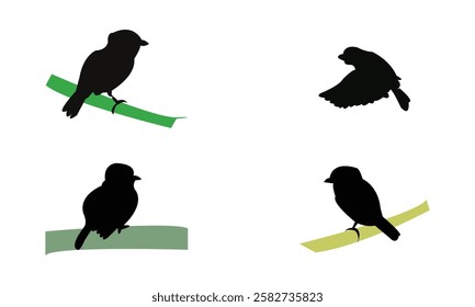 African broadbill bird Silhouette Design  And Vector Illustration. 
