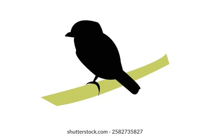 African broadbill bird Silhouette Design  And Vector Illustration. 