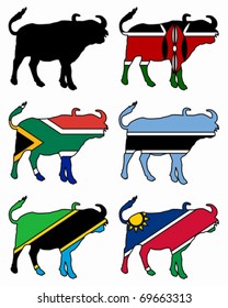 African buffalo