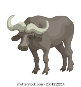 African buffalo, black bull. Cartoon vector graphics.