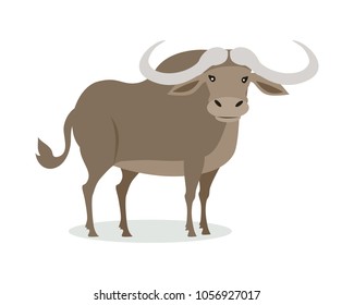 African buffalo cartoon character. Buffalo with big horns flat vector isolated on white. African fauna. Buffalo icon. Wild animal illustration for zoo ad, nature concept, children book illustrating