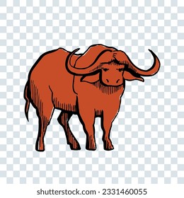 African buffalo with horns illustration isolated on transparent background.