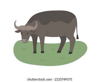 African buffalo with horns. Wild bovine animal standing on grass. Tropical black bull grazing. Africa inhabitant. Flat vector illustration isolated on white background