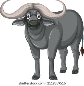 African buffalo isolated on white background illustration