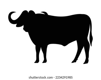 The African buffalo isolated on white, vector illustration