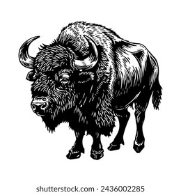 African Buffalo in linocut textured style. Isolated on white background vector illustration